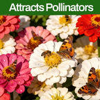 LUOJIBIE Zinnia Seeds, 13000+ Bulk Pack Mixed Colors Large Blooms Seeds, California Giant Zinnia Seeds for 2026, High Germination Non-GMO, Wildflower Seeds for Planting Indoor Outdoor, Open Pollinated