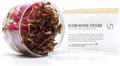 Ultum Nature Systems Alternanthera Reineckii Rosanervig Red Stem Tissue Culture Live Plant for Aquarium, Aquascape, Freshwater Fish Tanks - 100% Snail Free in Vitro
