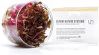 Ultum Nature Systems Alternanthera Reineckii Rosanervig Red Stem Tissue Culture Live Plant for Aquarium, Aquascape, Freshwater Fish Tanks - 100% Snail Free in Vitro
