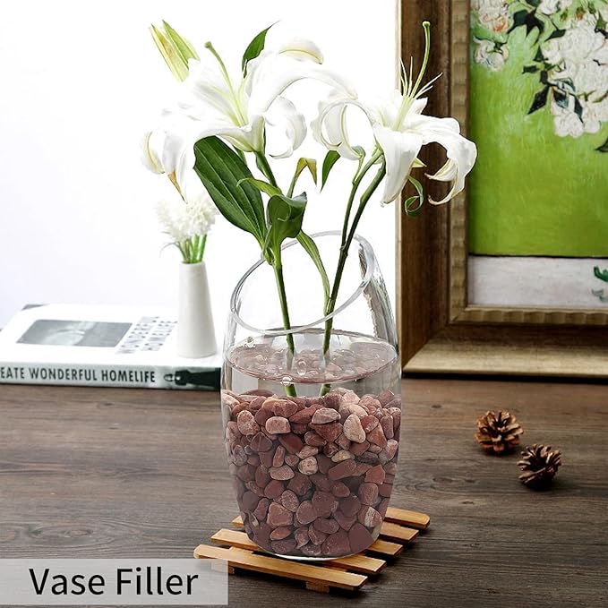 FANTIAN 2 lbs Succulent and Cactus Pebbles Gravel, 3/8 Inch Decorative Red River Rocks for Plants Indoor, Vases, Terrarium, Potted Top Dressing and Outdoor Decorative Stones