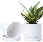 Phoenix Vine 8 Inch Planter Pot with Drainage Hole & Saucer, Deep Water Catch Tray, Straight Cylindrical Round Pot for Plants, Matte White, Pack of 2, 23-B-T-2