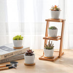 T4U 2.5 Inch Mini White Succulent Planter Pots with Bamboo Tray Round Set of 6, Tiny Ceramic Succulent Air Plant Flower Pots Cactus Faux Plants Containers, Gifts for Plant Lover, Home and Office Decor