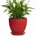 Ceramic Flower Pots 8 Inch, Ceramic Planters for Indoor House Plants, Decorative Plant Pots with Drainage Hole and Saucer, Modern Round Planter, Office Decor, Gifts for Men Women, Red