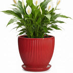 Ceramic Flower Pots 8 Inch, Ceramic Planters for Indoor House Plants, Decorative Plant Pots with Drainage Hole and Saucer, Modern Round Planter, Office Decor, Gifts for Men Women, Red