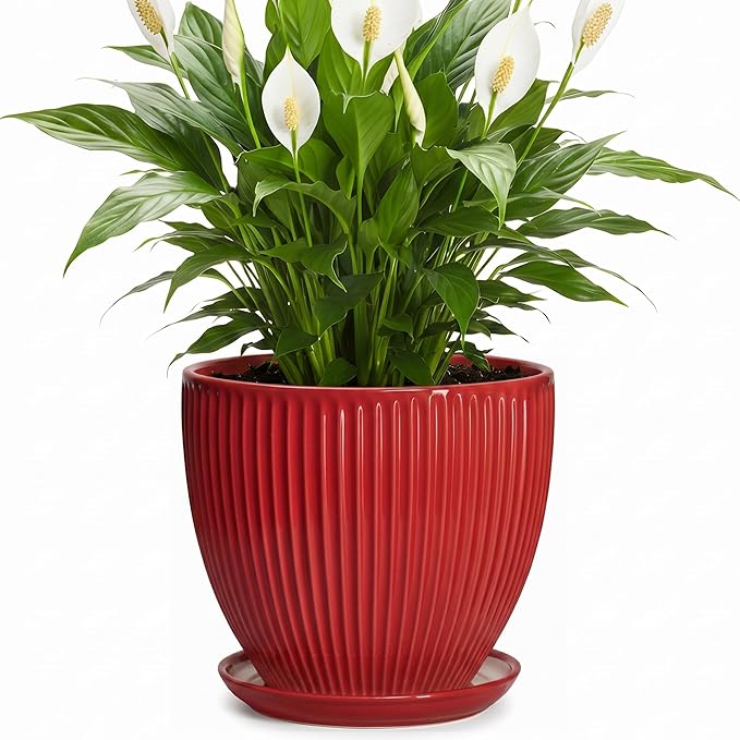 Ceramic Flower Pots 8 Inch, Ceramic Planters for Indoor House Plants, Decorative Plant Pots with Drainage Hole and Saucer, Modern Round Planter, Office Decor, Gifts for Men Women, Red