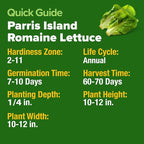 HOME GROWN Non GMO Parris Island Romaine Lettuce 3,500+ High Germination Heirloom Lettuce for Planting Crisp Heads for Garden & Hydroponics, Indoor Outdoor (Lactuca Sativa)