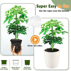 Self-Watering Pots for Indoor Plants, 8-Pack 6.7'' Self Watering Planter with Drainage Holes, Small African Violet Pots with Water Indicator, Clear Wick Pot, White