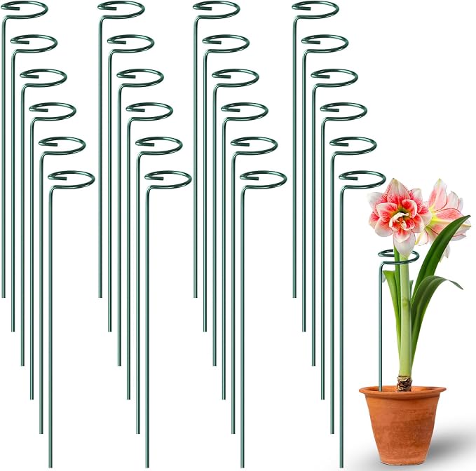 Fabulas 24 Pack Plant Support Stakes, 16 Inch Metal Garden Plant Stakes Single Stem Support Rings for Indoor Outdoor Amaryllis, Flowers Orchid, Lily, Peony, Rose, Tomato, Monstera, Narcissus