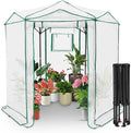 EAGLE PEAK 6.6x6.6 Portable Walk in Greenhouse, Pop Up Indoor Outdoor Greenhouse, Green House Kit with Zippered Roll-Up Doors and Windows, Hexagon Design, PE Cover, Clear/White
