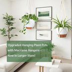 3 Pack 10/8/7 Inch Hanging Planters for Indoor Plants with Self-Watering Hanging Pots with Drainage, 3 Different Size Macrame Plant Hangers with Hooks White Large
