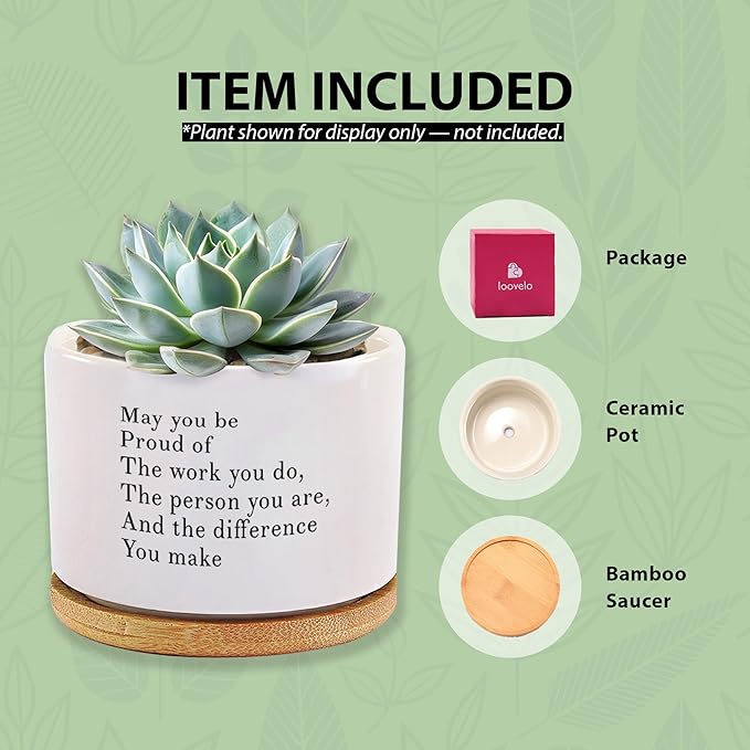 May You Be Proud of The Work You Do Inspirational Gift Ceramic Succulent Plant Pot with Tray Coworker Leaving Motivational Gifts Home Decor Plant Lover 3.5 Inch White (No Plants) (with Bamboo Tray)