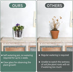 4 Inch Self Watering Pot,African Violet Pot,Bottom Watering Glass Planter for Indoor Plants and Progagation