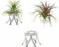 Newwe Pack of 3 Silver Air Plant Holder Cute Crystal Tillandsia Display Container Home Decors Office Desktop Marble Egg Sphere Stand