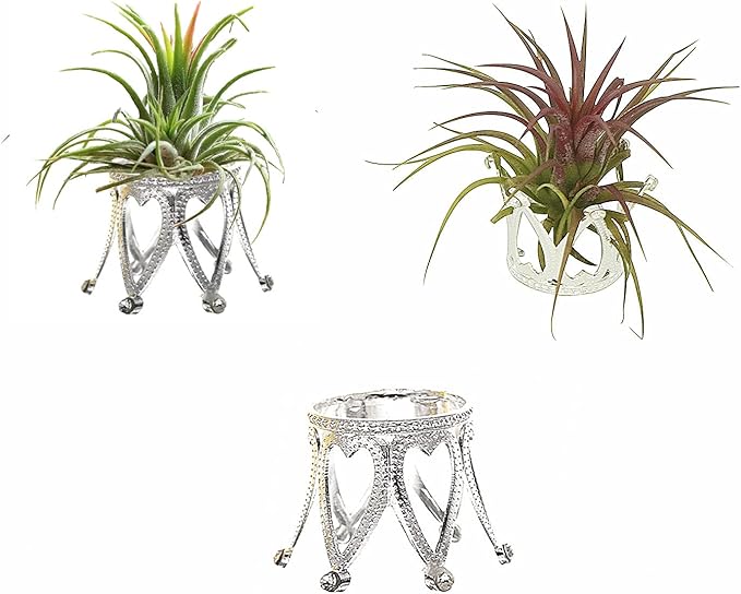 Newwe Pack of 3 Silver Air Plant Holder Cute Crystal Tillandsia Display Container Home Decors Office Desktop Marble Egg Sphere Stand