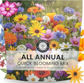 All Annual Quick Blooming Mix - 16,000 Flower Seeds for Planting - Wildflower Mix - Large 1 Ounce Packet