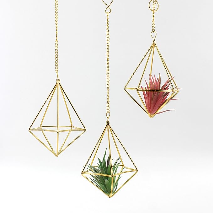 Air Plant Hangers with Chains, 6 Pcs Gold Tillandsia Holders for Wall/Ceiling Decor, 3 Hangers + 3 Stands Set, Boho Indoor Home Office Display, Modern Air Fern Plant Décor