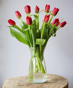 KaBloom - Bouquet of Fresh Red Tulips with Vase - Fresh Flowers for Birthday, Valentine's & Mother's Day