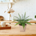 Artificial Boston Fern Potted Plant, 9" Small Fake Plants in Pot, Faux Fern Plant Greenery for Home Office Farmhouse Living Room Bathroom Kitchen Tabletop Desk Shelf Decoration