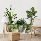 iMagitek Large Green Plant Wall Decals Tropical Leaves 3D Potted Plant Wall Stickers for Living Room Bedroom Home Wall Decor 43.7x34.65inch
