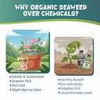 Organic Lotus Fertilizer, OMRI Listed Liquid Seaweed Extract for Water Lilies Aquatic Pond Plants, 2oz Concentrated Nutrient Boost Plant Food for Blooming Vibrant Growth