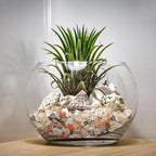 Halatool 2.2LB Crystal Pebbles 0.27"- 0.79" Natural Landscaping Pebbles Aquarium Gravel Decorative Polished Stone Suitable for Plants Home Decoration DIY Handmade Fish Tanks Vase Filler
