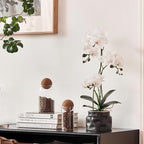 Avoeco Artificial Real Touch Orchid Plant – 20″ Faux Phalaenopsis in Pot – Highly Realistic Silk Orchid Flower & Leaf Texture for Home, Office,Shop & Wedding Décor (1 White, 20”)