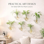 Yungyan 6 Pack Glass Wall Vase Plant Propagation Wall Hanging with Nail Hooks Diamond Propagation Station Flower Vase Glass Terrariums Plant Hanger for Home Office Bathroom Living Room Decor