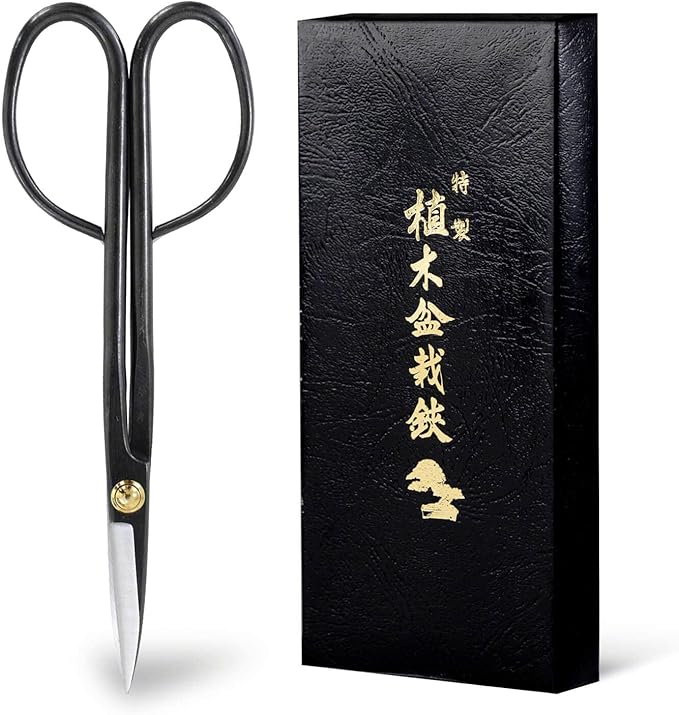 Wazakura Twig Bonsai Scissors Made in Japan 210mm(8.15 inch), Japanese Bonsai Garden Tools, Hasami Pruning Shears - Long Handle Black