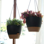 SwinDuck 10 Inch Self Watering Hanging Pots, 2 Pack Hanging Planters with 40oZ Deep Reservior for Indoor Outdoor Plants Flowers, Black with Brown