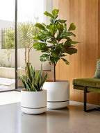 LE TAUCI 12 Inch Pot for Plants with Saucer, Ceramic Indoor Planter Pot with Drainage Hole, Mesh Pad & Plug Included, Matte Glazed Outside, Modern for Home and Office, Alpine White & Ochre