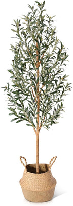 Faux Olive Tree 6FT – Tall Artificial Plants Indoor with Real Wood Trunk & Seagrass Basket, Lifelike Silk Leaves & Fruits – Potted Large Fake Trees for Home, Living Room, Bedroom & Office Decor