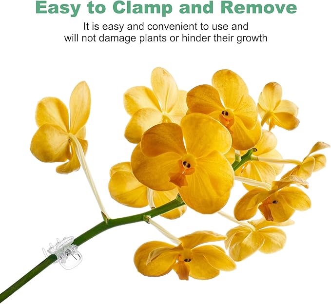M METERXITY 100-Pack Orchid Clips, Plastic Garden Plant Clips, 6 Claws Orchid Clips, Garden Plant Support Clip for Supporting Stems/Vines/Stalk Grow Upright [Transparent]
