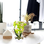 INOOMP Artificial Phalaenopsis Orchid Bonsai with Pot, Faux Orchid Flower Green Desktop Decoration for Home Interior, Realistic Fake Flower Plant for Living Room and Office