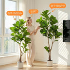 6ft Artificial Fiddle Leaf Fig Tree Tall Large Realistic Fake Ficus Lyrata Plant for Indoor Home Decor Office Living Room Floor Plant Modern Farmhouse Silk Tree 72 Inch Pet Safe Maintenance Free