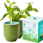 Modern Sprout - 2-in-1 Soy Candle & Planter - in The Weeds (Eucalyptus, Pink Pepper, Patchouli, Citrus) 6 Oz Scented Candle w/Mint Seeds - Ceramic Vessel Dual Purpose Jar - 38-40 Hour Burn
