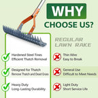Thatch Rake – 74-Inch Heavy Duty Metal Rake with Hardened Steel Tines for Efficient Lawn Thatch and Dead Grass Removal, Detachable Handle Manual Dethatcher Rake for Yard and Landscape Maintenance