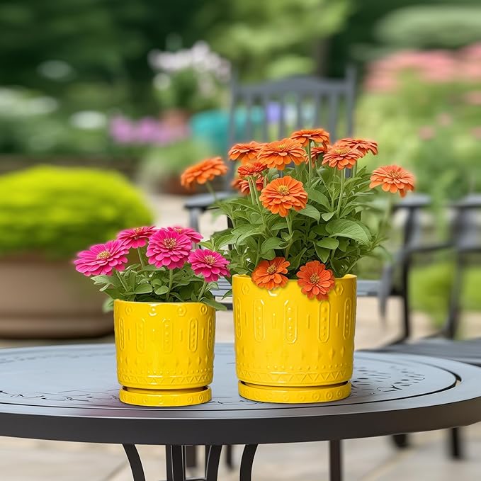 6 Inch Pots for Plants, Ceramic Pots for Plants with Drainage Holes and Tray, Round Planter for Indoor Outdoor, Modern Plant Pot, Decorative Flower Pot, Table Decor, Teacher Gift, Yellow