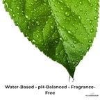GardenWise Leaf Shine Spray for Indoor Plants – Plant Leaf Cleaner & Shine for Real House Plants – Fragrance-Free, Non-Sticky, Streak-Free Finish, 8 fl oz