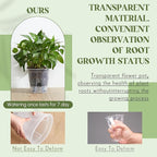 Wonderjune Self Watering Pots for Indoor Plants with Deep Reservoir and High Drainage Holes for Outdoor Plants and Flowers, Bare Root Planter(8.27'',Clear,6 Pcs)
