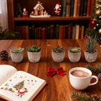 Set of 5 Artificial Succulent Plants in Pots - Lifelike Fake Succulents for Desk Decor, Low--Maintenance Home & Office Decor Gift