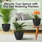 QRRICA Self-Watering Plant Pots with Water Level Indicator, Drainage Holes & Saucers – 12/10/9 Inch Large Plastic Planter Set for Indoor & Outdoor Plants (Pure Black)