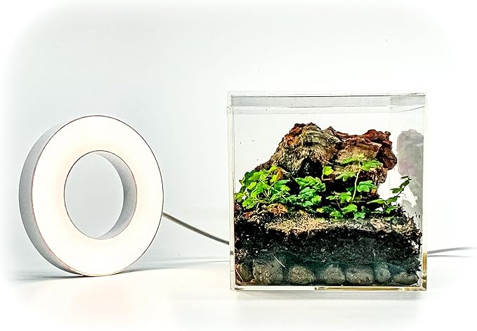 Generic Tiny Terrarium Kit for Springtails (4x4 inch) - BioActive Enclosure, Live Tropical Plants, LED Grow Light, Soil & Drainage, White