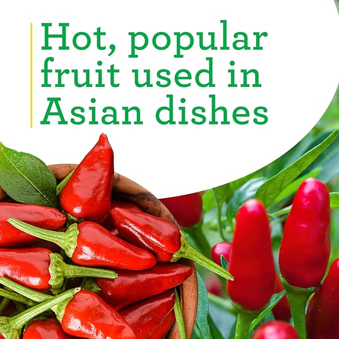 Bonnie Plants Thai Ornamental Hot Pepper, 19.3 oz., 4-Pack, Live Plants