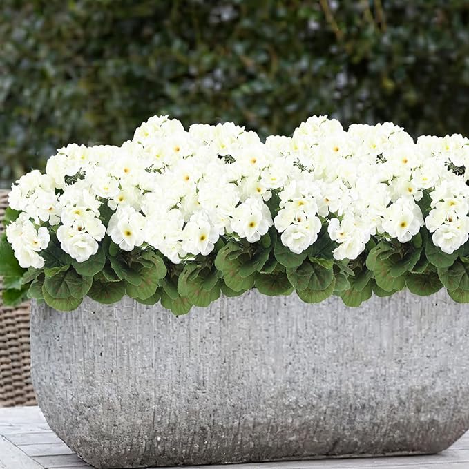 CITYES 3 Pcs Artificial Geraniums Flowers Silk Geraniums for Outdoors UV Resistant White Artificial Geranium Bush Faux Flowers Plant for Planter Garden Home Decor Indoor Patio Vase Table Centerpiece