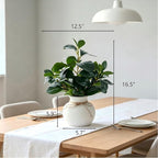 16.5'' Artificial Ficus Branch Arrangement, Real Looking Faux Plant with Glossy Green Oval Leaves, White Ceramic Vase with Rope Accent and Pebbles for Table Entryway Indoor Decor