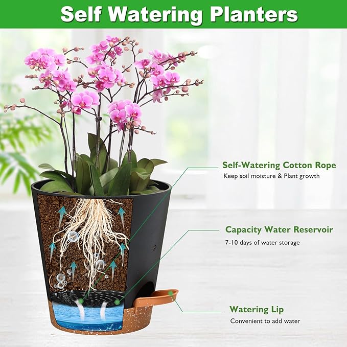 Vanslogreen Orchid Pots with Holes, 6 Inch Self Watering Orchid Pot 2 Pack Plastic Plant Pots for Orchid, Flower (Black+Brown)
