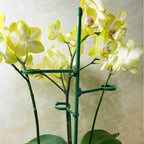 20 Set Plant Stakes 12 inch Extendable Plant Support Stakes with Adjustable Rings, Flowers Stems Plants Sticks for Indoor Outdoor Plants Stabilizer Support Sticks for Orchid Rose Peony Tomato