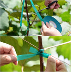 TELENT OUTDOORS 10 Pcs 150 Feet x 1/2" Wide Stretch Tie Tape Green Plant Garden Tie, Garden Vinyl Stake for Branches, Climbing Planters, Flowers