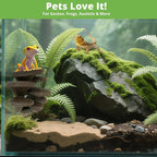 Westant Mushroom Decor for Reptile Tank, Fish Tank, Pet-Safe Bearded Dragon Tank Accessories, Realistic Terrarium Plants for Leopard Geckos, Crested Geckos, Tree Frogs, Snakes (Cocoa, Cluster Cap)