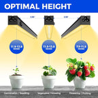 Barrina T5 Grow Lights, 1FT Grow Light Fixture for Indoor Plants Full Spectrum, Black Cover LED Plant Grow Light Bulbs for Indoor Plants, Greenhouse, Plug and Play, Linkable Design, Yellow, 8 Packs